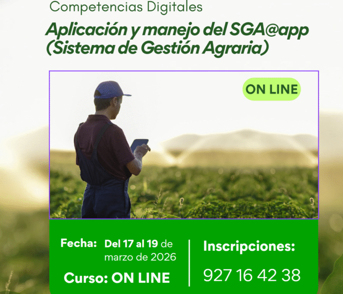 Captura de pantalla 2026 03 04 163907