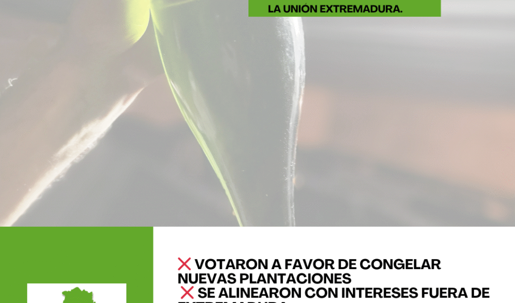 Unión Extremadura 2026 03 19T184846.350