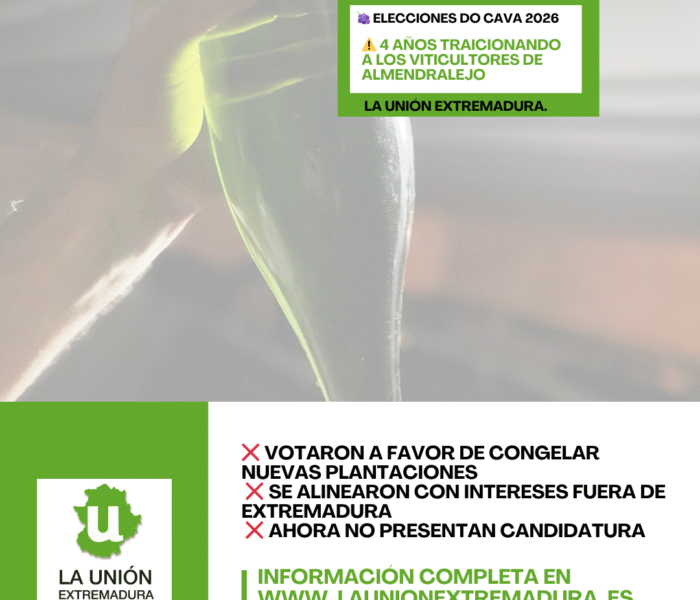 Unión Extremadura 2026 03 19T184846.350