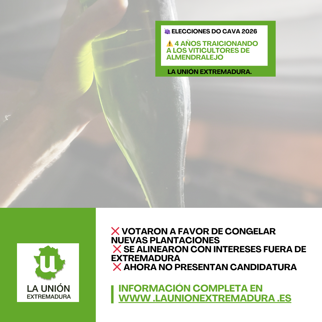 Unión Extremadura 2026 03 19T184846.350