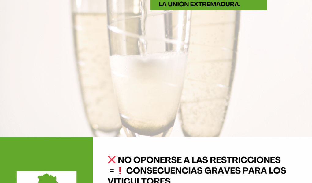 Unión Extremadura 2026 03 24T164607.078