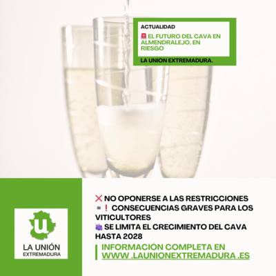 Unión Extremadura 2026 03 24T164607 078