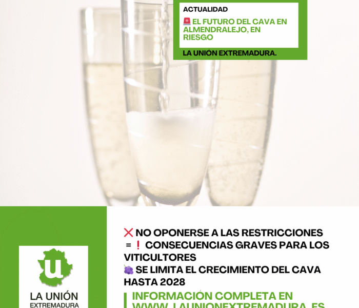 Unión Extremadura 2026 03 24T164607.078