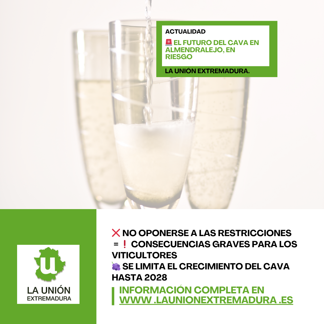 Unión Extremadura 2026 03 24T164607.078