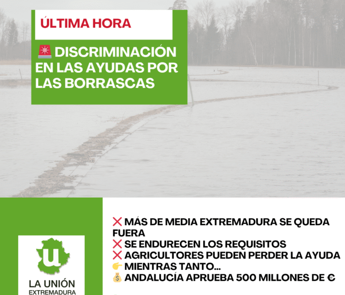 Unión Extremadura 2026 03 31T163331.745
