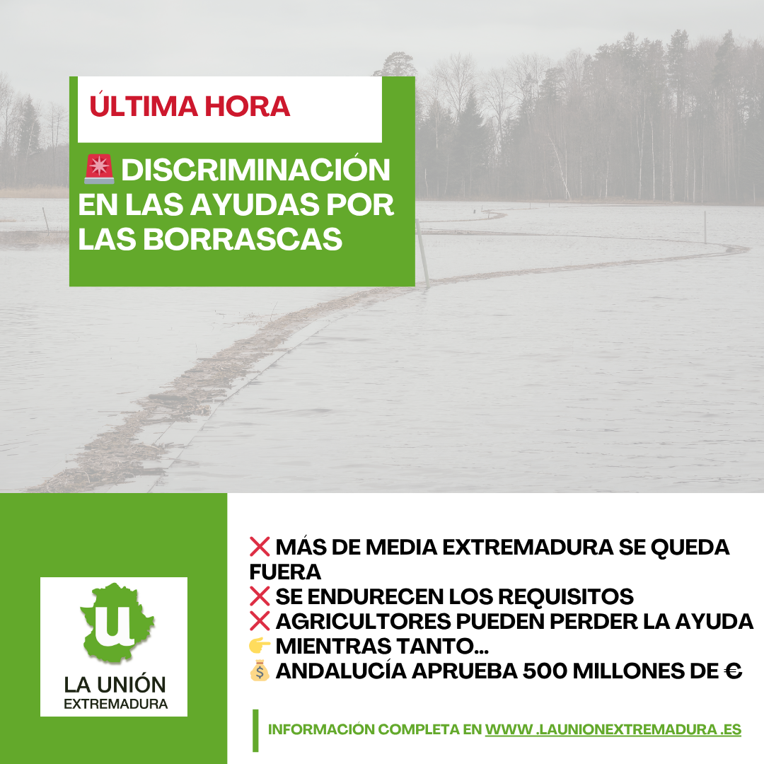 Unión Extremadura 2026 03 31T163331.745