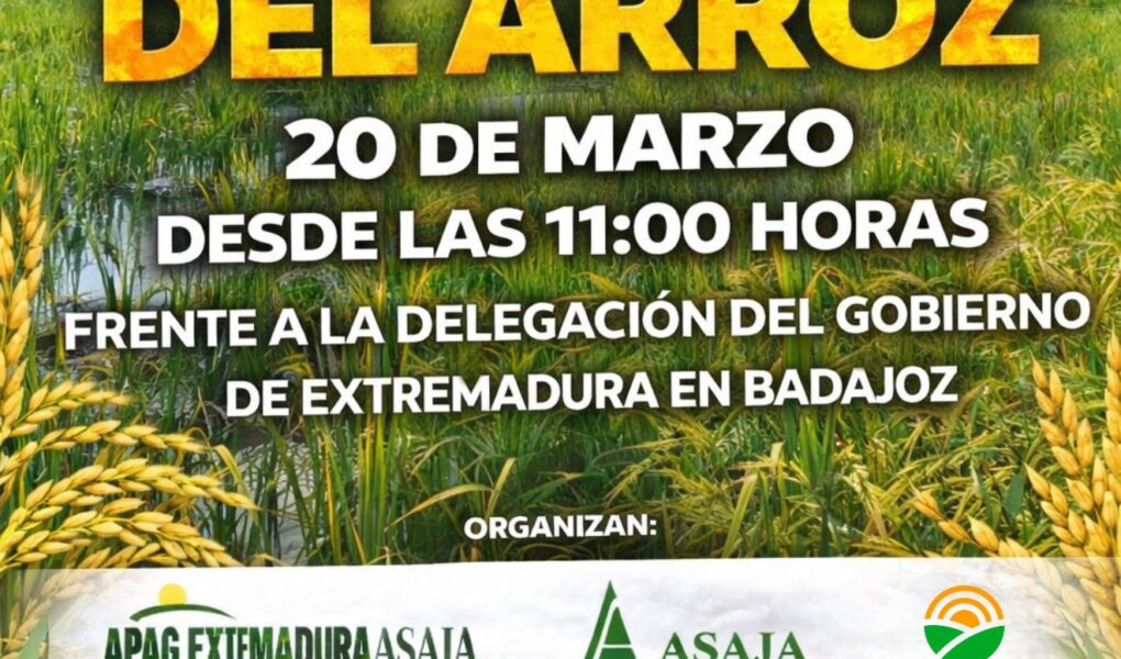 WhatsApp Image 2026 03 16 at 09.36.40