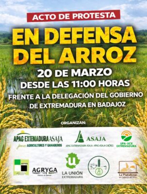 WhatsApp Image 2026 03 16 at 09.36.40