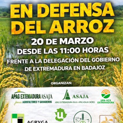 WhatsApp Image 2026 03 16 at 09.36.40