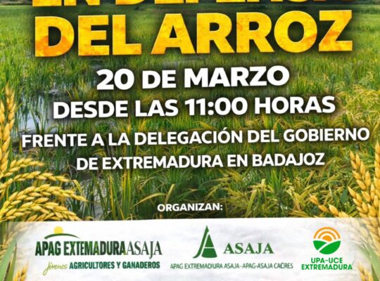 WhatsApp Image 2026 03 16 at 09.36.40