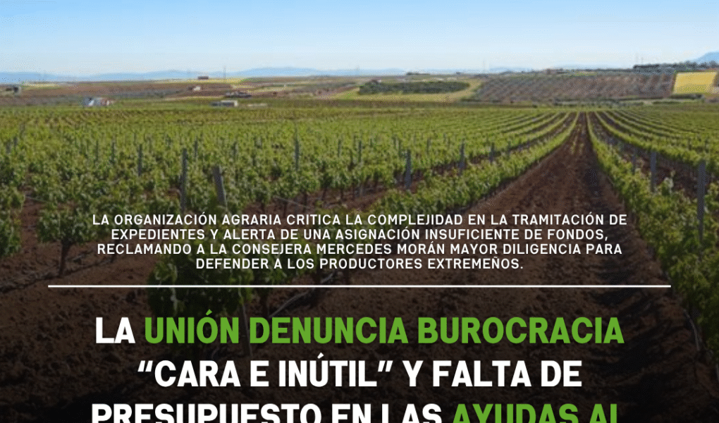 Unión Extremadura 2026 04 13T075900.056