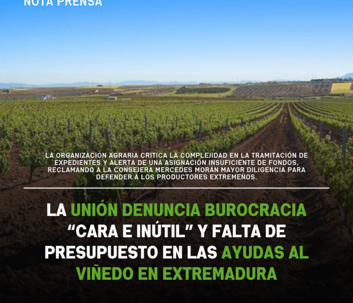 Unión Extremadura 2026 04 13T075900.056