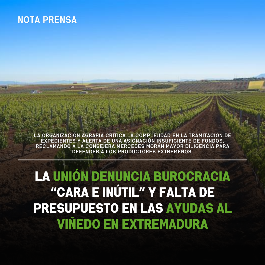 Unión Extremadura 2026 04 13T075900.056