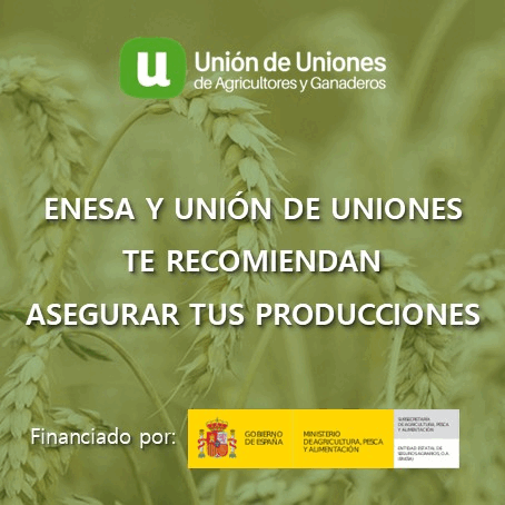 Banner ENESA 2026 Extremadura