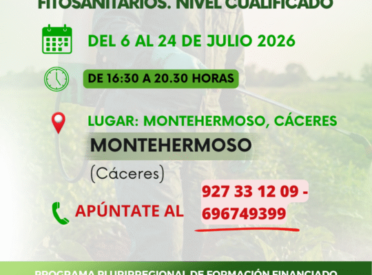 FITO CUALIFICADO MONTEHERMOSO (2)