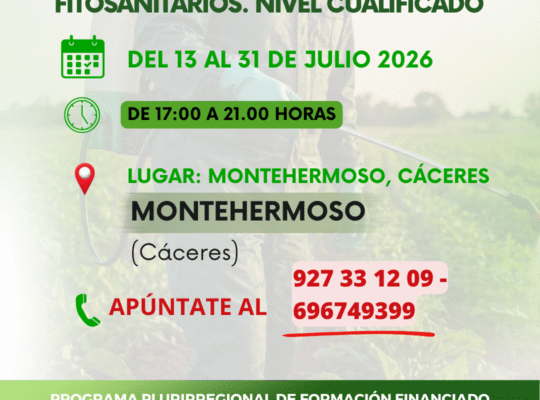 FITO CUALIFICADO MONTEHERMOSO (3)