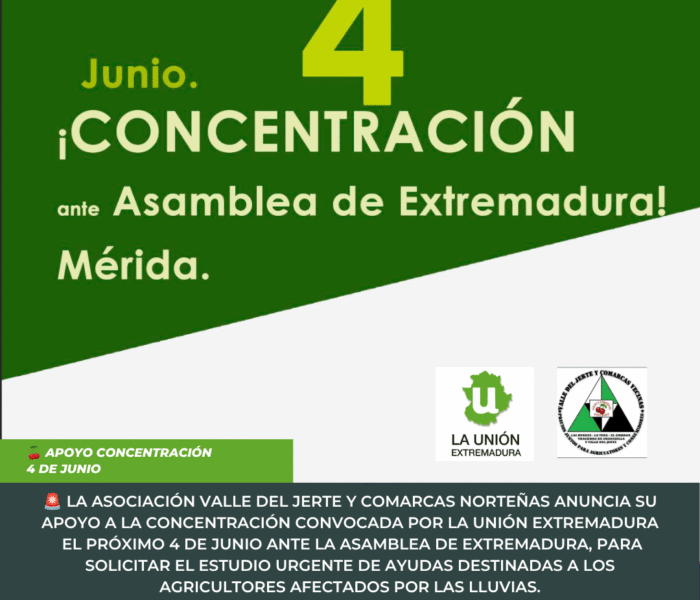 Unión Extremadura 2026 06 01T095615.439