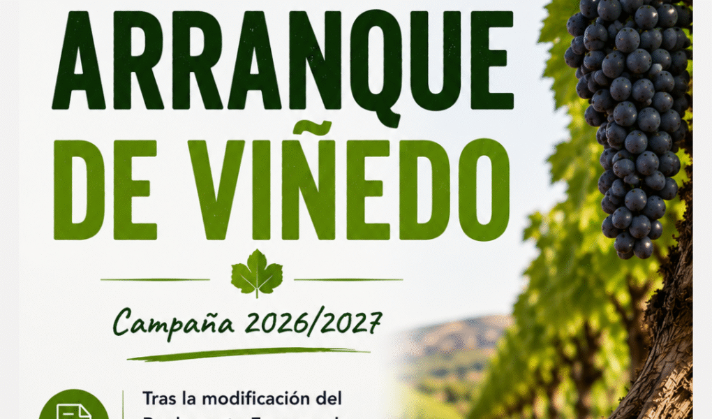 Unión Extremadura 2026 07 10T114550.799