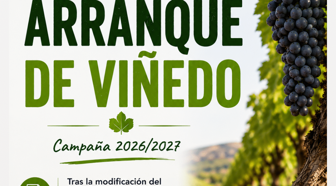Unión Extremadura 2026 07 10T114550.799