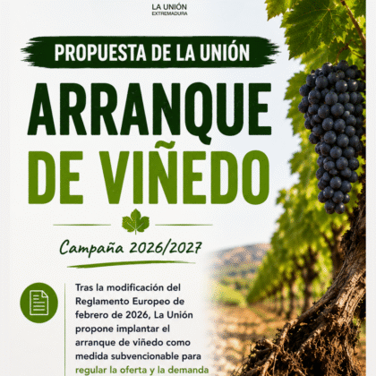 Unión Extremadura 2026 07 10T114550.799