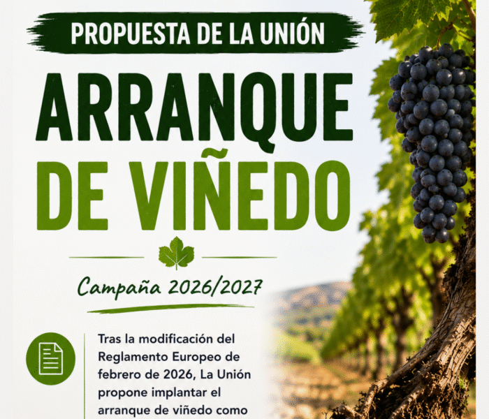 Unión Extremadura 2026 07 10T114550.799