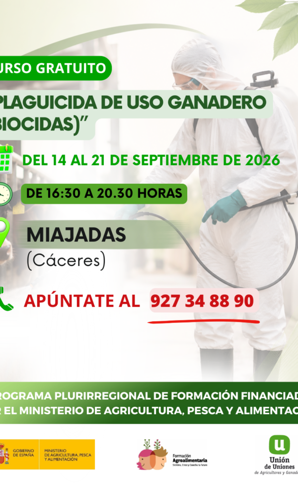 PLURI UNION DE UNIONES 600x1000