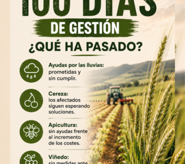 Union Extremadura 2026 08 12T131307 408 360x320