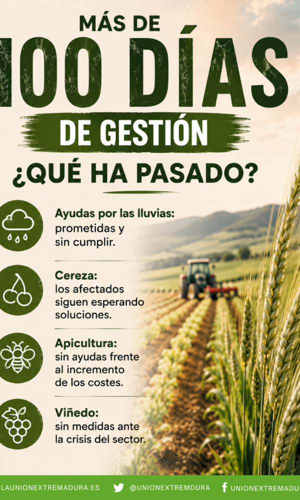 Union Extremadura 2026 08 12T131307 408 600x1000