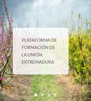 Formación