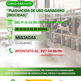 Pluri union de mujeres  280x280