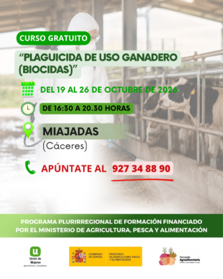 Pluri union de mujeres  320x400