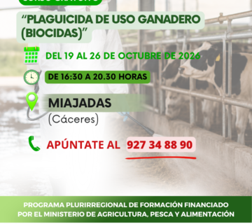 Pluri union de mujeres  360x320