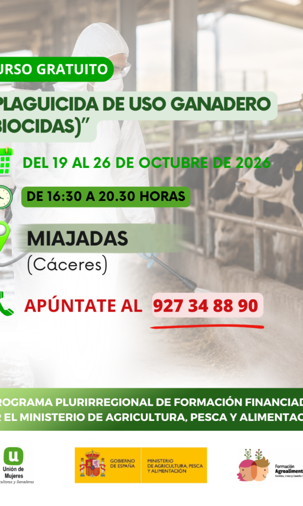 Pluri union de mujeres  600x1000