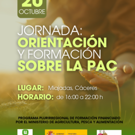 CURSOS LA UNION ORIENTAZION Y FORMACIONLA PAC formato instagram Post de Instagram 34 1 280x280