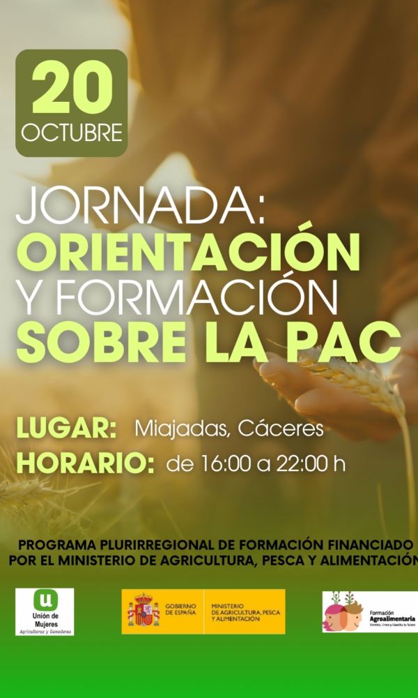CURSOS LA UNION ORIENTAZION Y FORMACIONLA PAC formato instagram Post de Instagram 34 1 600x1000