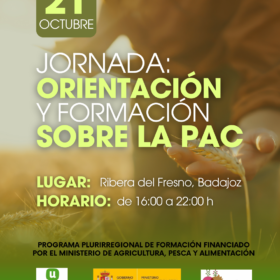 CURSOS LA UNION ORIENTAZION Y FORMACIONLA PAC formato instagram Post de Instagram 34 2 280x280