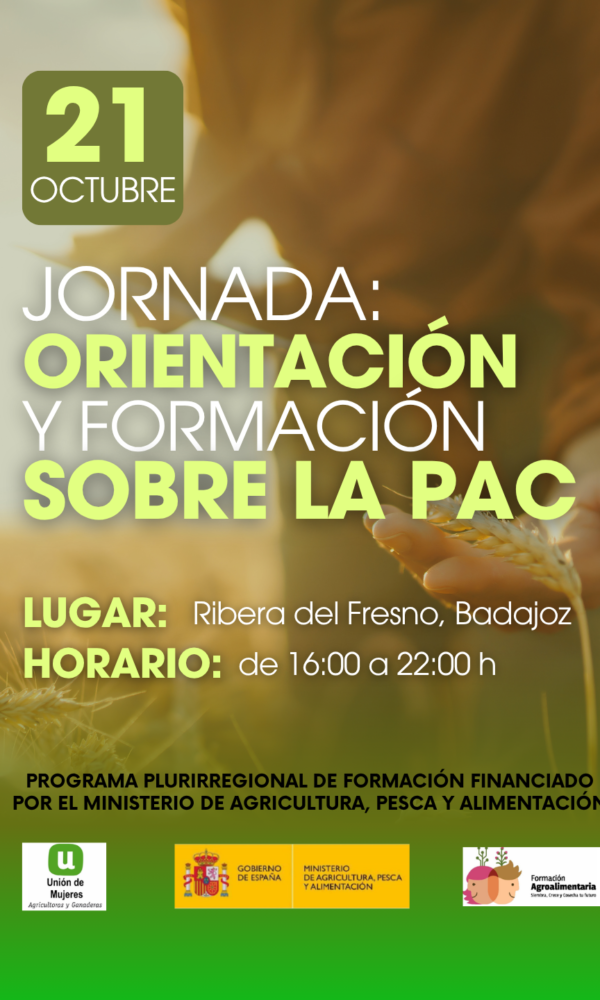 CURSOS LA UNION ORIENTAZION Y FORMACIONLA PAC formato instagram Post de Instagram 34 2 600x1000