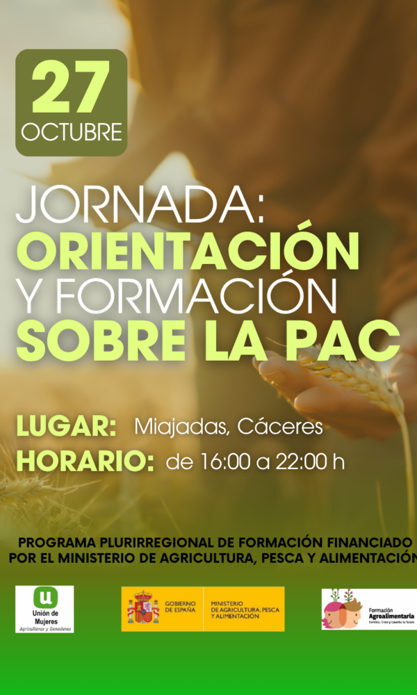 CURSOS LA UNION ORIENTAZION Y FORMACIONLA PAC formato instagram Post de Instagram 34 3 600x1000