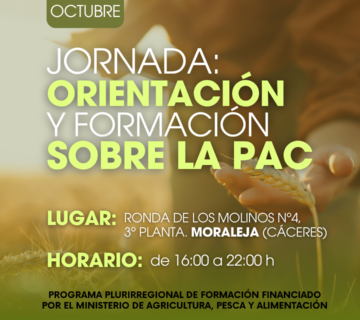 CURSOS LA UNION ORIENTAZION Y FORMACIONLA PAC formato instagram Post de Instagram 34 4 360x320