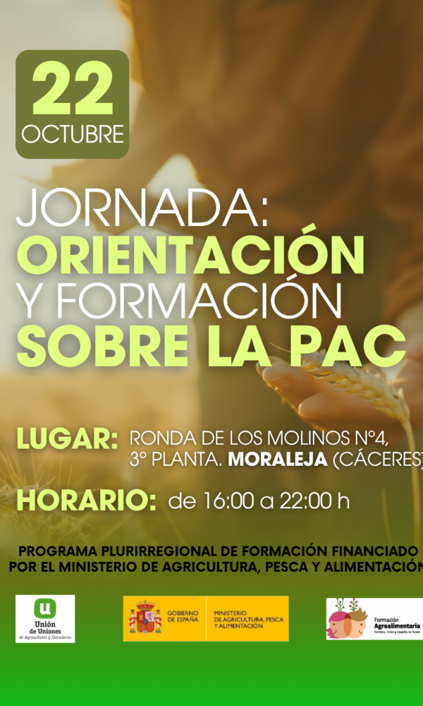CURSOS LA UNION ORIENTAZION Y FORMACIONLA PAC formato instagram Post de Instagram 34 4 600x1000