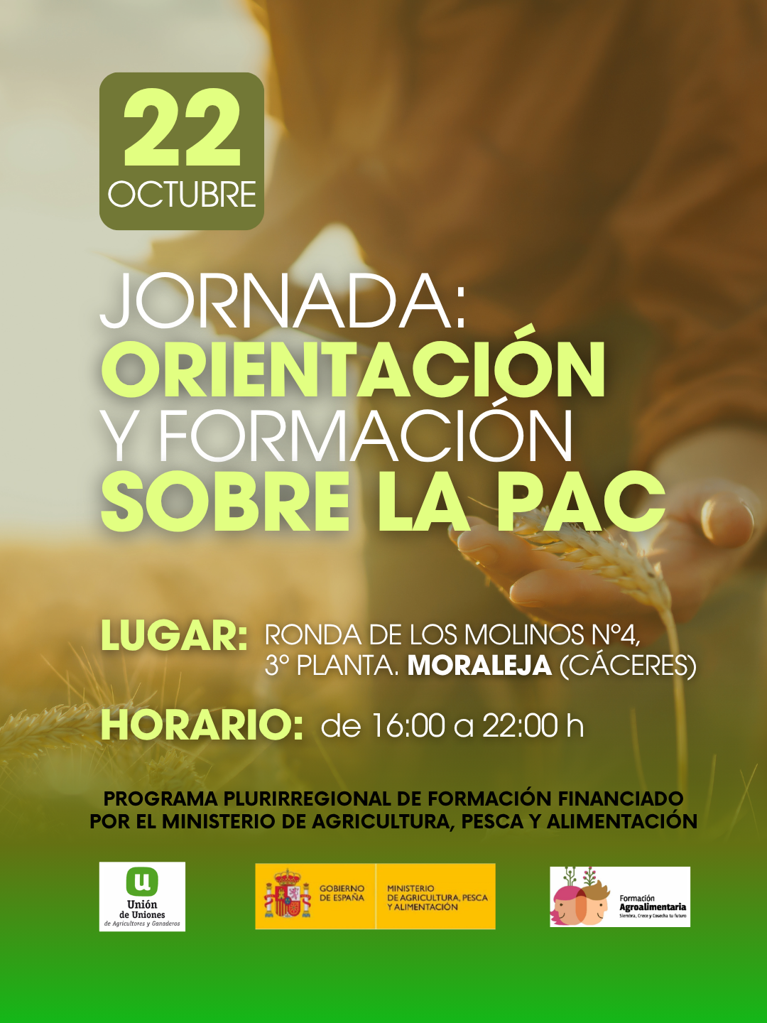 CURSOS LA UNION ORIENTAZION Y FORMACIONLA PAC formato instagram Post de Instagram 34 4