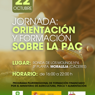 CURSOS LA UNIÓN ORIENTAZIÓN Y FORMACIÓNLA PAC formato instagram (Post de Instagram (34)) (4)