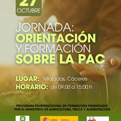 CURSOS LA UNIÓN ORIENTAZIÓN Y FORMACIÓNLA PAC formato instagram (Post de Instagram (34)) (6)