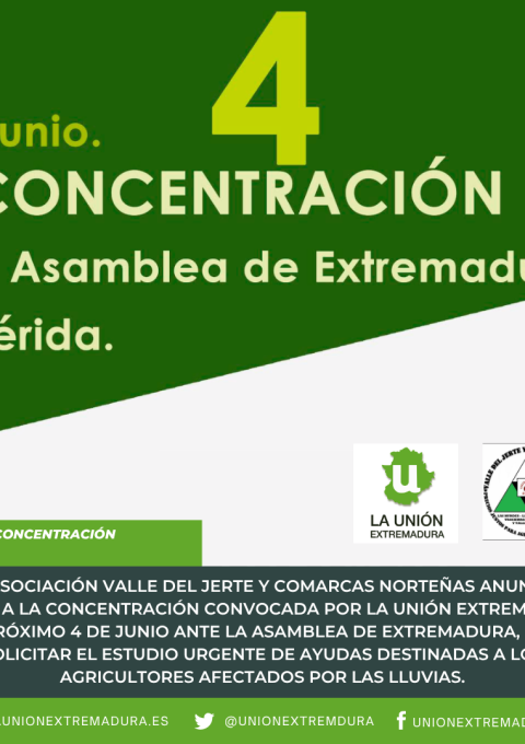 Unión Extremadura 2026 06 01T095615.439